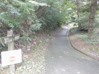 Medium_025 